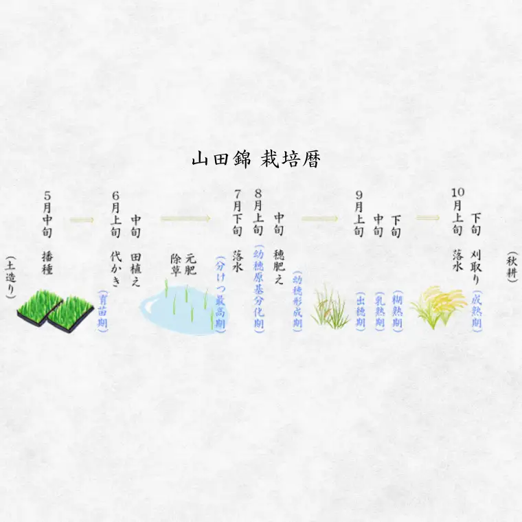 純米大吟醸　明軽　720ml　日本酒 お酒
