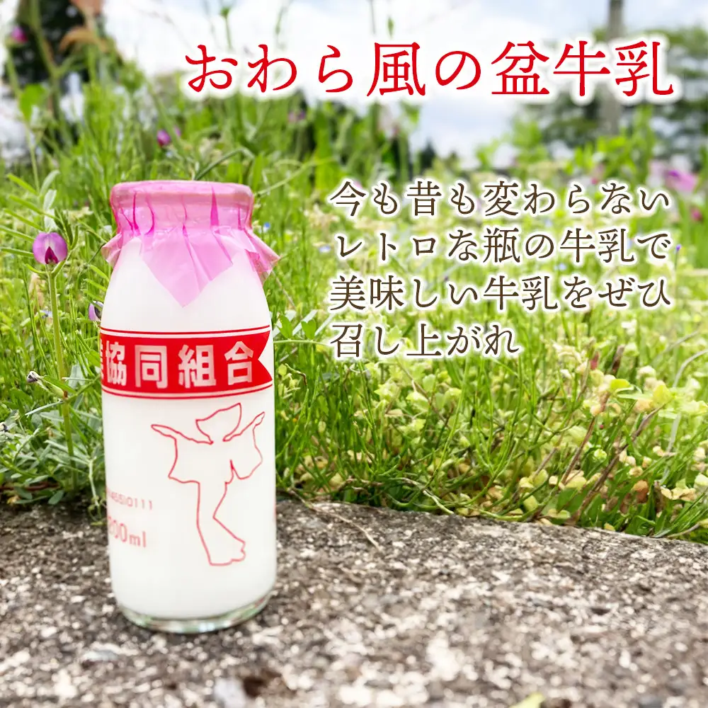Yatsuo MILK (牛乳)10本セット　富山八尾のおいしいビン牛乳
