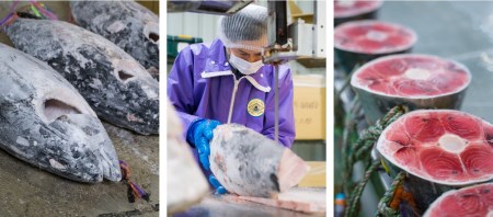 【訳あり】天然メバチマグロ 　大満足700g　CH-80 