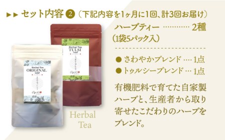 【全3回定期便】フルーツティー＆ハーブティーセット 計4袋【Goenヘルス＆ビューティー】[HBQ009]