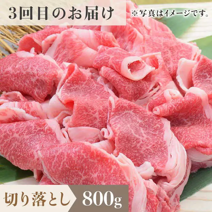 【全6回定期便】1ヶ月に1度の佐賀牛ひとり贅沢コース ステーキ/焼肉/スライス 牛肉 希少 赤身 カルビ ヒレ サーロイン モモ 切り落とし[FAY066]