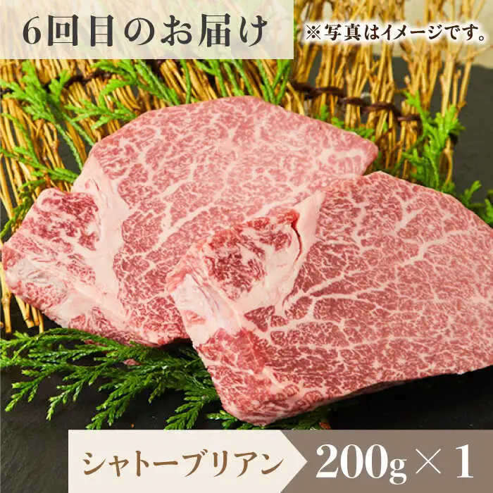 【全6回定期便】佐賀牛希少部位?ひとり贅沢ステーキコース? イチボ/ランプ/ミスジ/クリ/サーロイン/シャトーブリアン【ミートフーズ華松】 ブランド 高級 和牛 霜降り やわらか 冷凍 料理  精肉 牛肉 希少 赤身 イチボ ランプ ミスジ [FAY069]