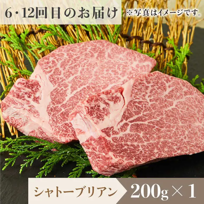 【全12回定期便】佐賀牛希少部位?ひとり贅沢ステーキコース? イチボ/ランプ/ミスジ/クリ/サーロイン/シャトーブリアン【ミートフーズ華松】 ブランド 高級 和牛 霜降り やわらか 冷凍 料理  精肉 牛肉 希少 赤身 イチボ ランプ ミスジ [FAY070]