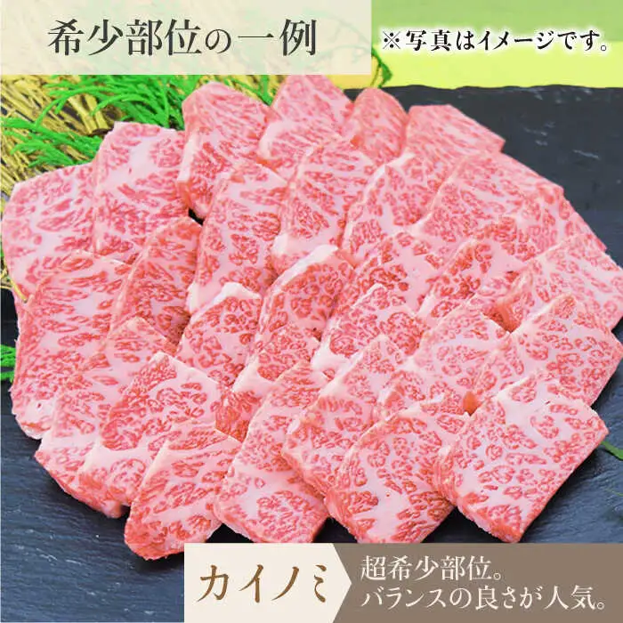 【全6回定期便】佐賀牛希少部位含む?ひとり贅沢焼肉コース? ランプ/クリ/トウガラシ/ザブトン/カイノミなど【ミートフーズ華松】 ブランド 高級 和牛 霜降り BBQ やわらか 冷凍 料理  精肉 牛肉 希少 赤身 イチボ ランプ ミスジ [FAY072]