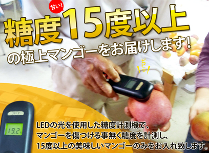 【 先行予約 2027年発送 】マンゴランのこだわりマンゴー秀品 1kg