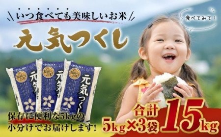 元気つくし 15kg 米 福岡 お米 こめ コメ 精米 白米 国産 九州