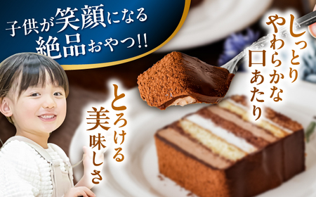 【3回定期便】＜ニッポン全国おやつランキンググランプリ受賞＞長崎石畳ショコラ ハーフサイズ 1個 / ショコラ しょこら チョコレート ちょこれーと チョコ ちょこ チョコレートケーキ チョコケーキ けーき / 諫早市 / ネオクラシッククローバー [AHBS002]