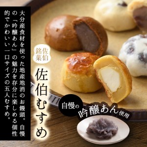 ひとくちまんじゅう 佐伯むすめ (計20個・5種×4個) 饅頭 饅頭 ひとくち 一口 薄皮 みそ 黒糖 抹茶 チーズ スイーツ お菓子 おやつ 焼き菓子 和菓子 詰め合わせ 個装 常温 大分県 佐伯市【AG95】【お菓子のウメダ】