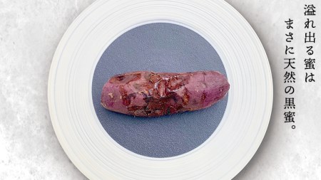 【 先行予約 2025年1月以降発送 】 oimo_tokyo 熟成 焼き芋 八千代町産 紅はるか 4本 ～ 5本 冷蔵 冷やし やきいも 食物繊維 さつまいも 美容 健康 スイーツ おやつ 小分け 茨城県産 [BY001ya] 
