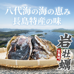 夏に美味い岩がき 約3.0kg （殻の重量含む）【錦盛丸水産】kinsei-7169