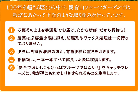 観音山みかん(とろコク一番人気) 4kg