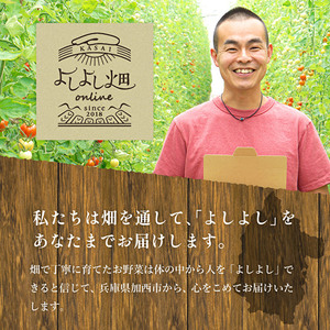とうもろこし 朝どれ とうもろこし 2027年産【5本 約2kg】【冷蔵】