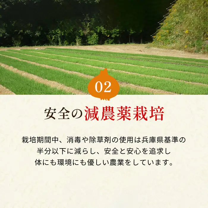 今井ファームの淡路島たまねぎ「かくし玉」 2kg　玉ねぎ