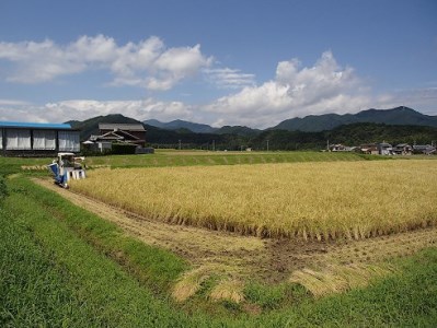 FY-031　大師の里のコシヒカリ10㎏（令和6年産）