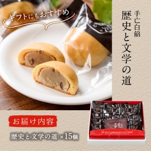 歴史と文学の道 (計15個) 小豆 スイーツ スウィーツ 菓子 焼き菓子 和菓子 おやつ 詰め合わせ 個装 大分県 佐伯市【ER010】【(株)古川製菓】