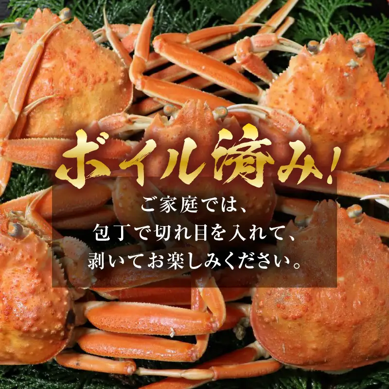 【先行予約】ボイルせいこがに 5杯 《 獲れたての味！》 ／期間限定 茹で ボイル 冷蔵 蟹 カニ 福井県 あわら市 海鮮 冬 旬 ※2026年11月中旬～2026年12月下旬の間で順次発送 [aw002-x001]