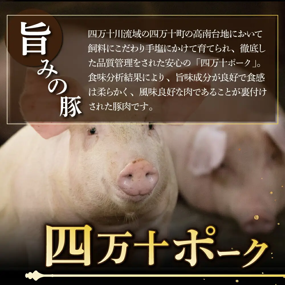 湯煎するだけ！土佐あかうしと四万十ポークのハンバーグ　５個セット
