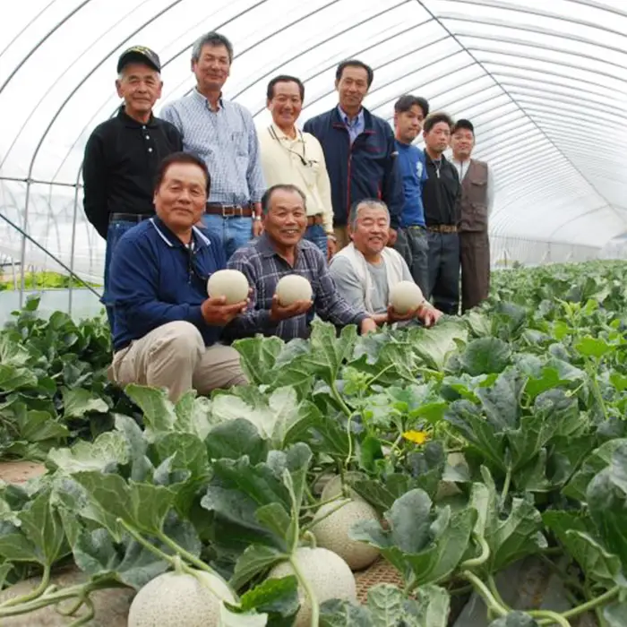 007-2 オトメメロン 秀品 2玉 約2kg 茨城県 JA水戸産