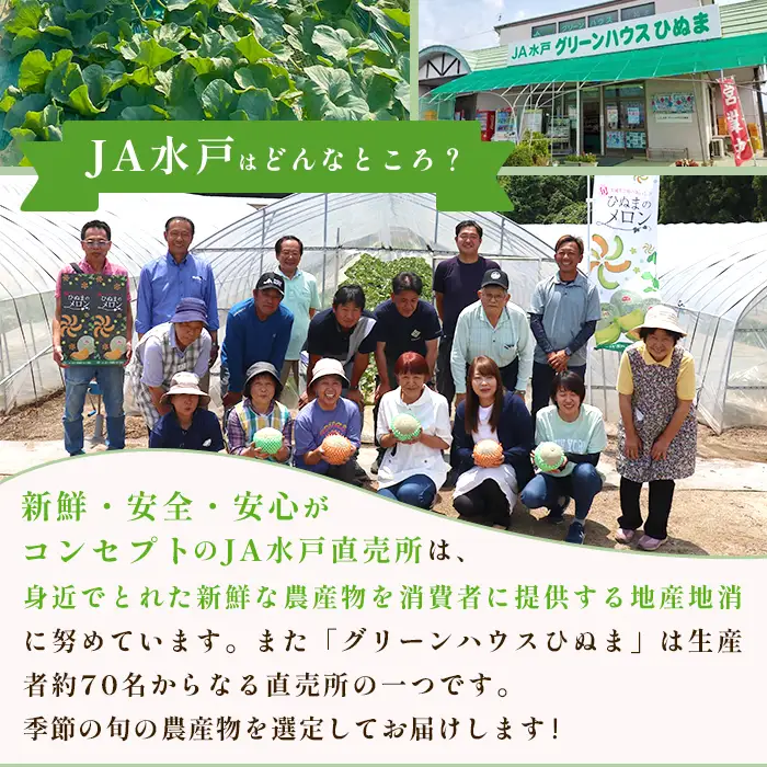 082-3 イバラキング 秀品 3～5玉 約5kg 茨城県 JA水戸産