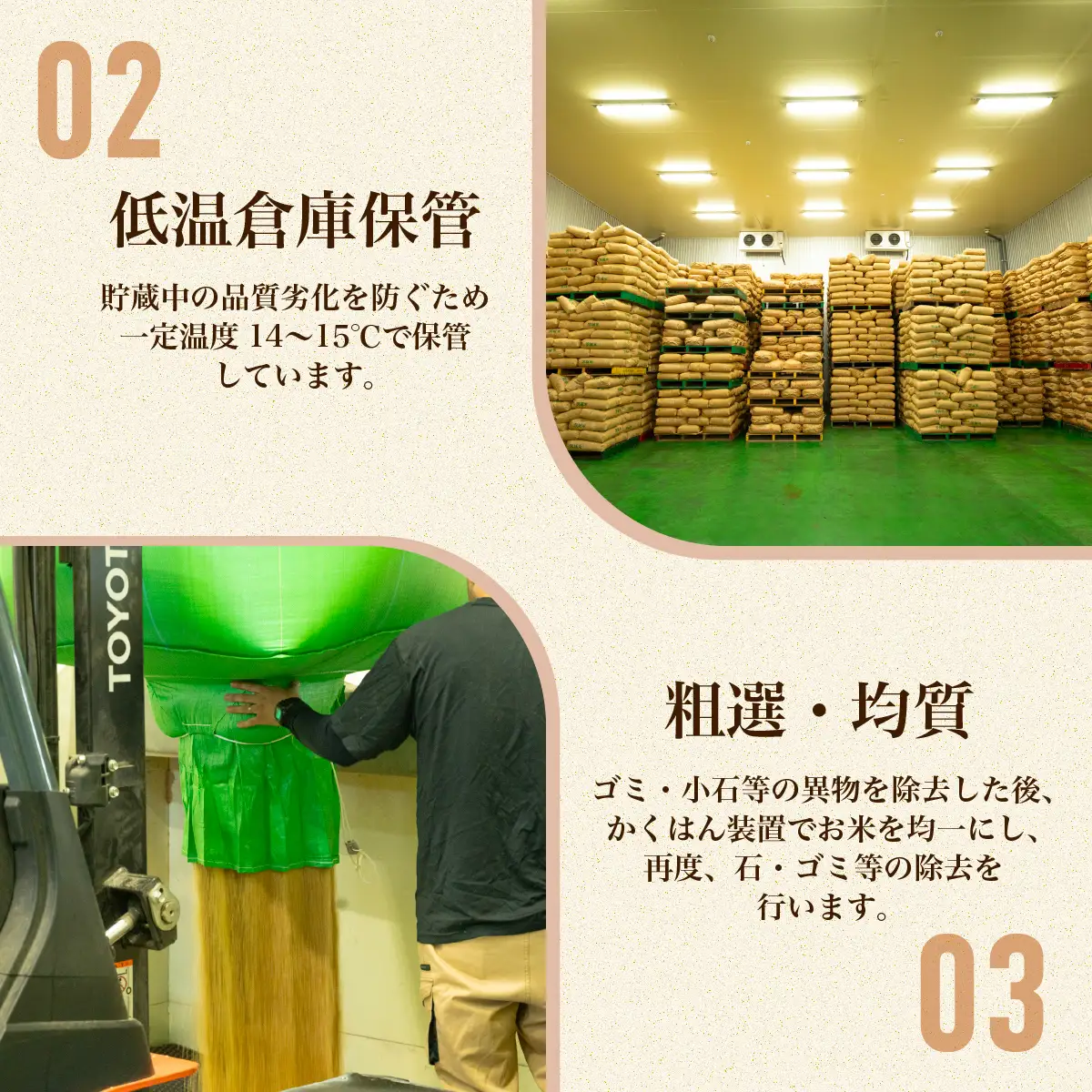 193【令和7年産】茨城県産 ふくまる 10kg(5kg×2袋)【石崎商店】
