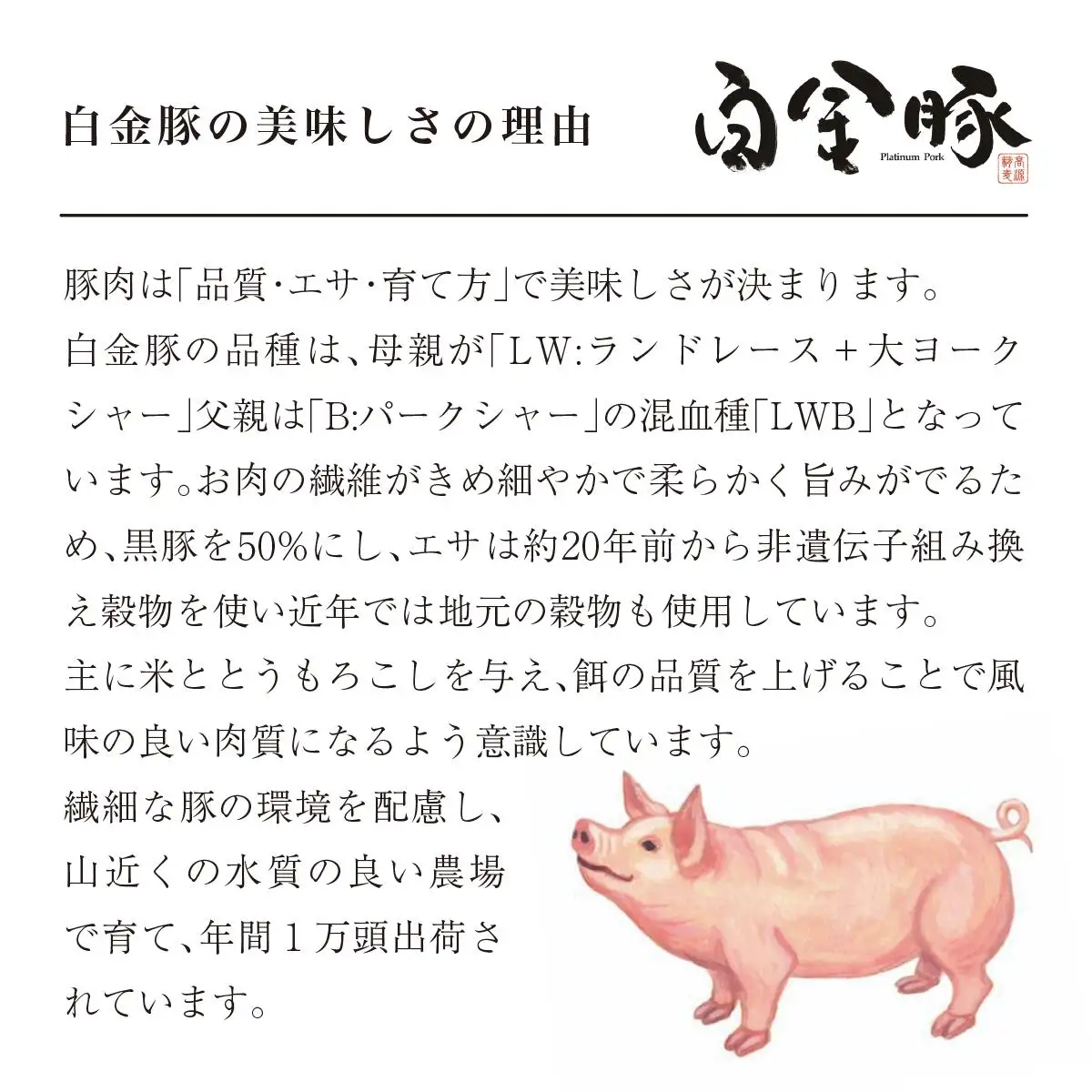 白金豚しゃぶしゃぶセット計１kg（ロース肉500g,モモ肉500g） 【032】