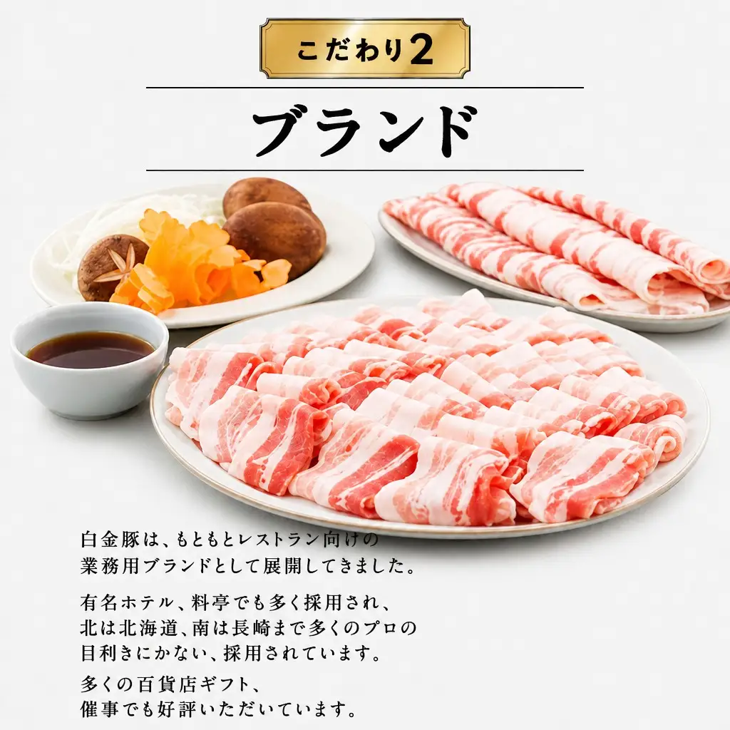 豚肉 ファミリーセットA1.2kg 白金豚肉 モモスライス・カレー用角切り 【561】