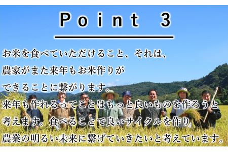 【12ヶ月定期便】銀河のしずく白米3㎏ 【1033】
