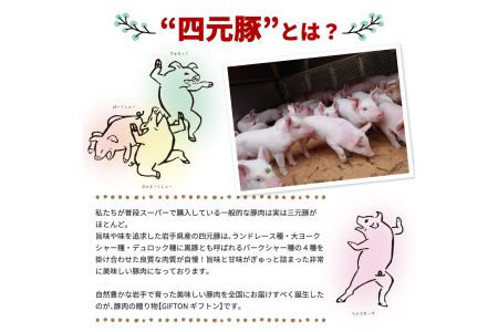 四元豚 熟成ベーコンブロック 3個 【1128】