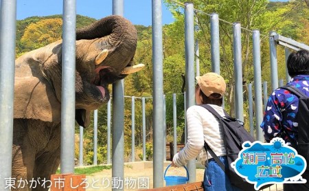 旅行券 香川県 さぬき市 三木町 東かがわ市 ペア 旅行券【2日間】