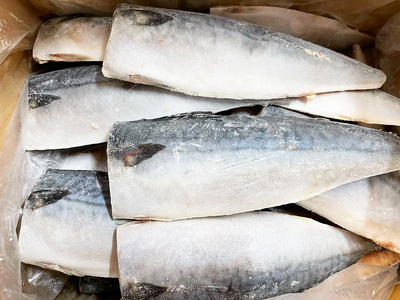 【ご家庭用】大容量！ 塩さば フィレ3.5kg / 鯖 サバ 切身【uot749C】