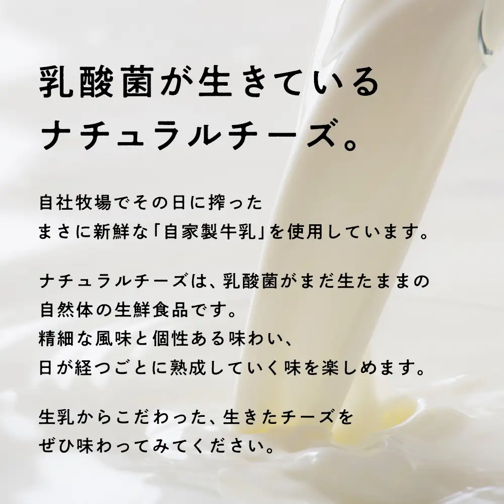 べこちちFACTORY★モッツァレラチーズセット