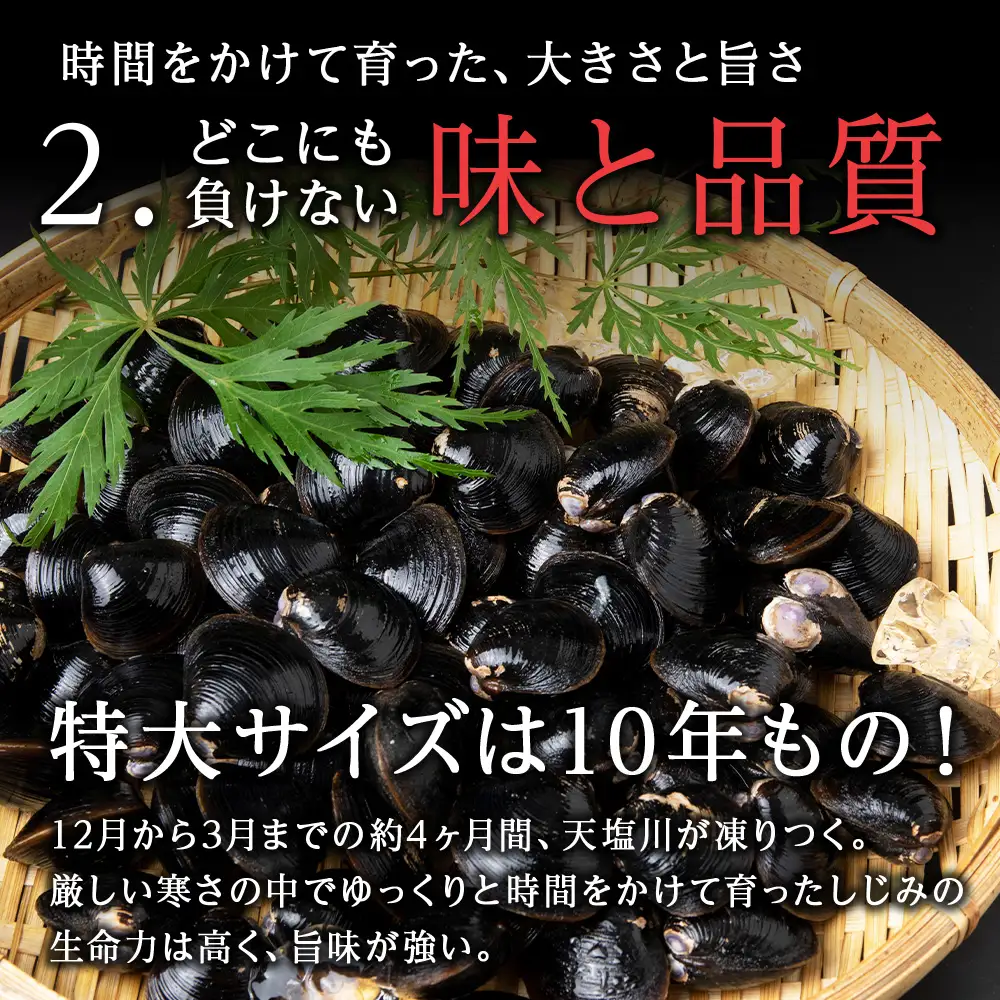 復活！天塩町名産冷凍しじみ「特大貝桐箱入り」１ｋｇ＜北るもい漁業協同組合　天塩支所＞