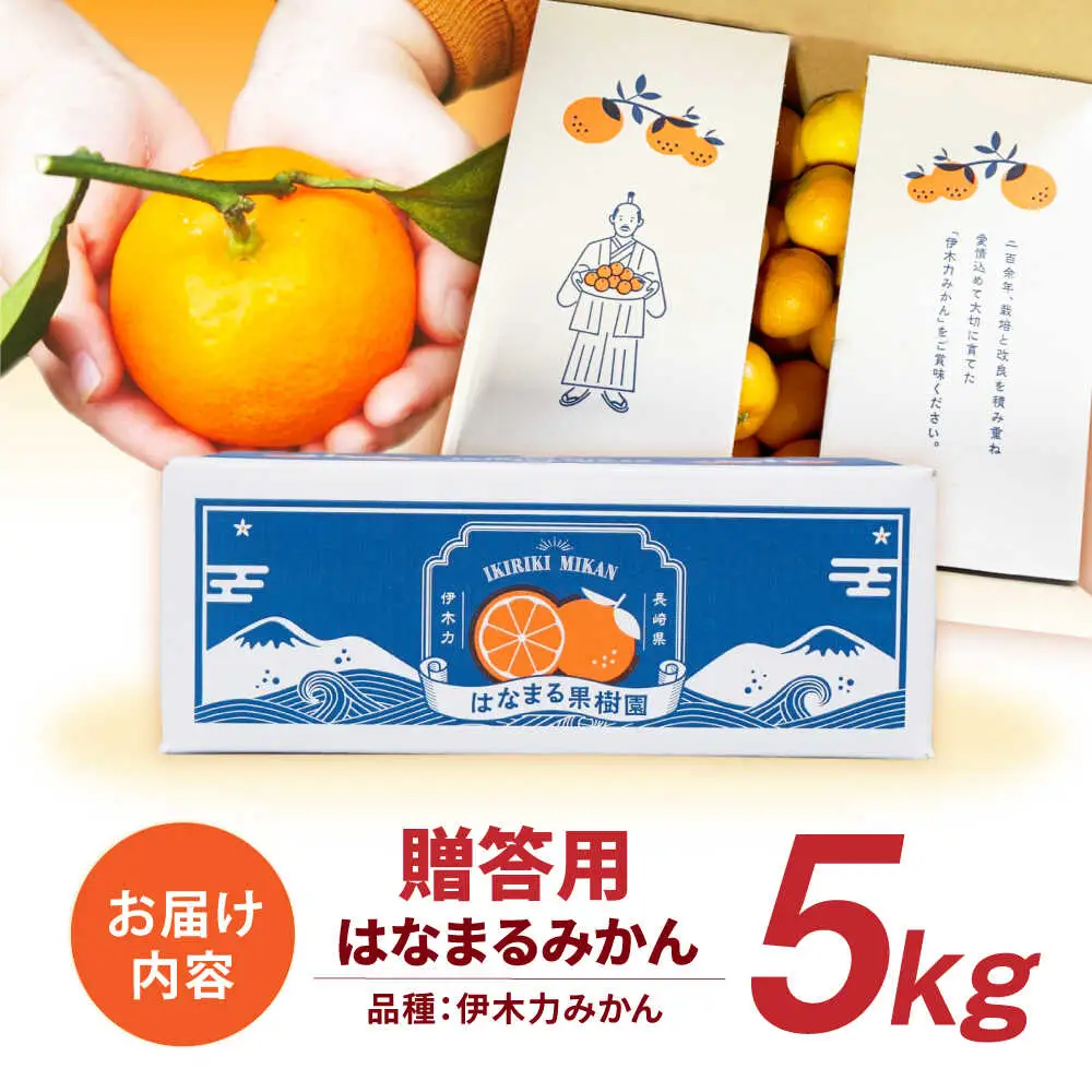 ※【2026年11月下旬より順次発送／先行予約】伊木力みかん「はなまるみかん」(贈答用) 5kg / 伊木力みかん みかん 蜜柑 ミカン 柑橘 果物 フルーツ / 諫早市 / 株式会社山野果樹園 [AHCF003]