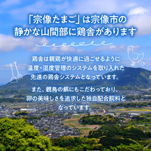 新鮮 赤卵「宗像たまご」Mサイズ 60個（55個＋補償5個）【JAほたるの里】_HA0916