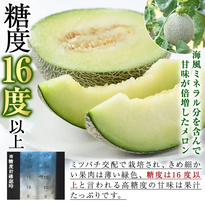 ＜先行予約受付中！2027年6月中旬以降順次発送予定＞ 数量限定！鹿児島県産南国グリーンメロン(1.0kg以上×3個) メロン フルーツ デザート 果物 鹿児島 国産 阿久根市産 青肉 ハウス ハウス栽培 期間限定 【東新グリーンファーム合同会社】akn062-12