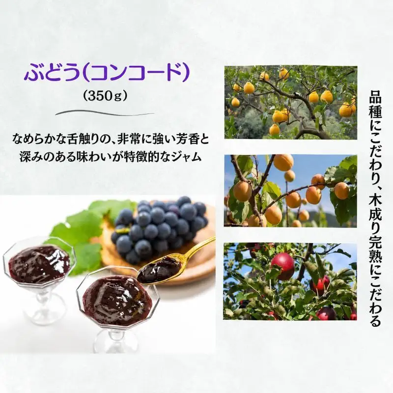 ジャム 四季のジャム 詰め合わせ 5個入り Mセット 350g×5個 フルーツジャム セット