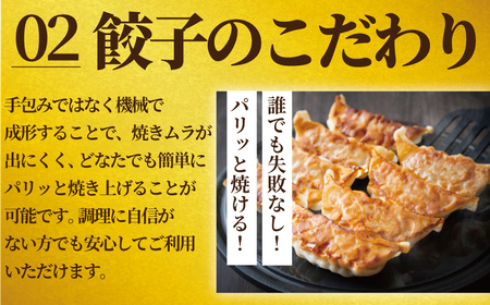 餃子 50個 餃子