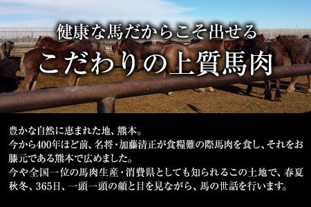 大トロ馬刺し・中トロ(霜降り)馬刺し食べ比べコース【純国産熊本肥育】大トロ馬刺し(50g)、中トロ(霜降り)馬刺し(50g)《30日以内に出荷予定(土日祝除く)》送料無料 ふるさと納税 美味しい馬刺し 熊本馬刺し くまもと馬刺し 特産馬刺し st-p