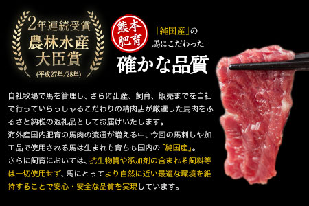 純国産馬刺し＆馬肉料理福袋 計1kg 熊本肥育 2年連続農林水産大臣賞受賞 送料無料 上赤身馬刺し100g たてがみ50g 馬とろ150g 馬ソーセージ500g 燻製 霜降り ハン馬ーグ200g(2個入り) タレ付き 熊本県荒尾市《90日以内に出荷予定(土日祝除く)》 美味しい馬刺し 熊本馬刺し くまもと馬刺し 特産馬刺し st-p