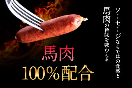 馬肉100%ソーセージ 2kg (500g×4袋) 肉 馬肉 ソーセージ 2kg 熊本県荒尾市《30日以内に出荷予定(土日祝除く)》 st-p