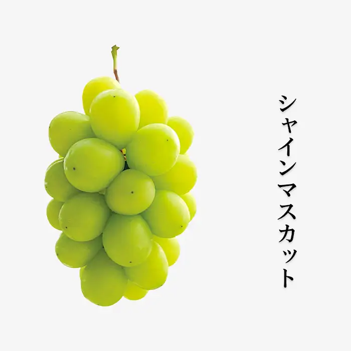 岡山県産冬ぶどう２房【2026年11月以降発送】（いばら愛菜館）