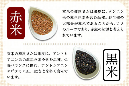 古代米 (赤米/黒米/緑米) 900g 熊本県荒尾市産 赤米300g×1袋 黒米300g×1袋 緑米300g×1袋 米 つゆくさ農園 《30日以内に出荷予定(土日祝除く)》 美味しい米 お米 熊本県産米 くまもと米
