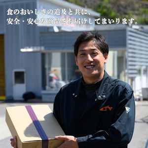 鮭 切り身 2kg 訳あり 塩鮭 大人気 家計応援【MS03】