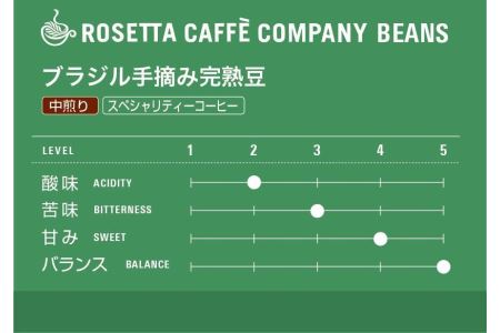 コーヒードリップ 粉 100g× 3種 セット 焙煎 コーヒー