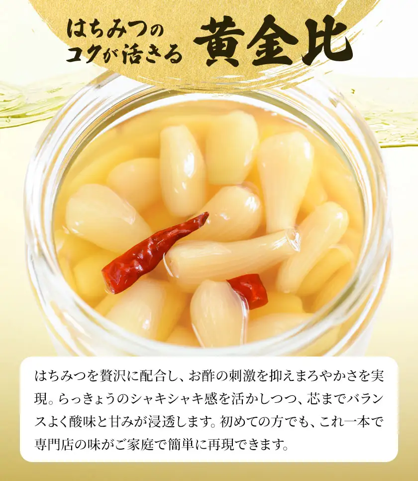 はちみつ入り 浜のらっきょう酢 1800ml×6本セット 浜義正商店《60日以内に出荷予定(土日祝除く)》