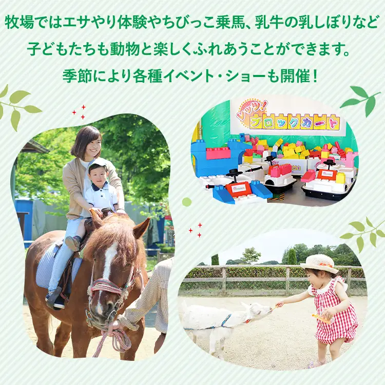 那須高原りんどう湖ファミリー牧場 乗り放題付 ペア入園券 チケット ちけっと 券 入場券 入園チケット 観光 レジャー ファミリー キッズ 家族旅行 スポット 栃木県 那須町〔D-40〕