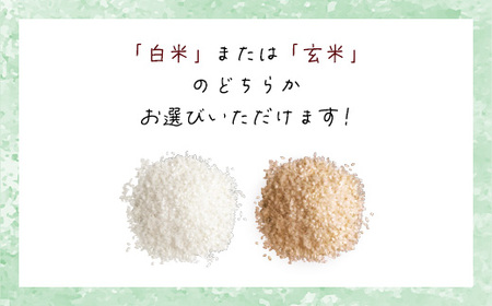 【令和6年産】食味値が高く低農薬のコシヒカリ15kg【円山川源流域の清流で育った米】 兵庫県 朝来市 AS4CE3