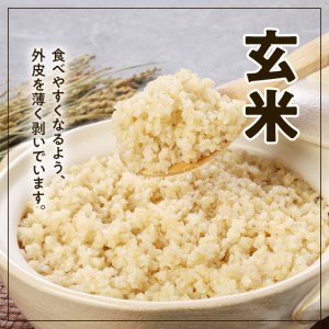 宮崎ヒノヒカリ延岡産白米と白い玄米セット合計5.8㎏ N0149-YC090