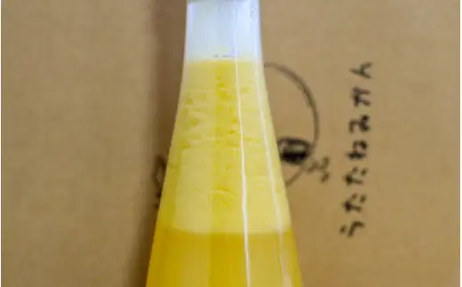 《リモンチェッロ》綺麗な湧水で育てた完熟レモンでつくりました！ / お酒 レモンチェロ カクテル  【uttn703-sake-500】