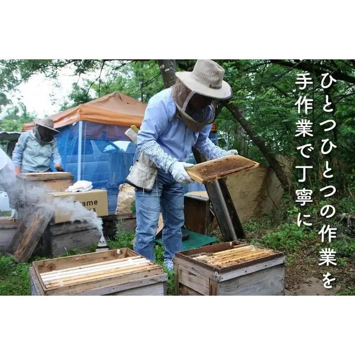 さいき養蜂園　非加熱蜂蜜　アカシア１kg×１本 | 蜂蜜